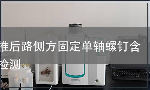 胸腰椎后路側方固定單軸螺釘含附件檢測