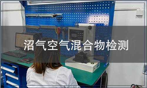 沼氣空氣混合物檢測