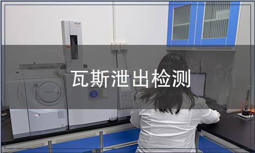 瓦斯泄出檢測