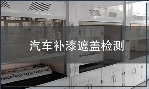 汽車(chē)補(bǔ)漆遮蓋檢測(cè)