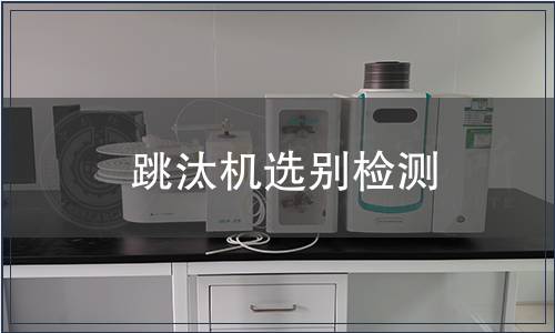 跳汰機選別檢測