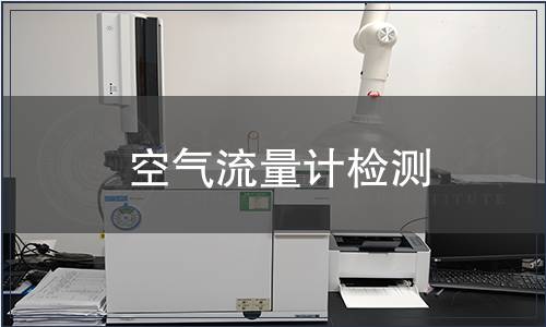 空氣流量計(jì)檢測