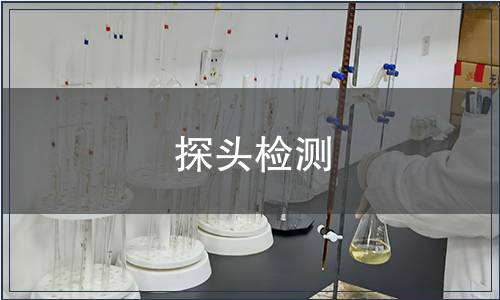 探頭檢測