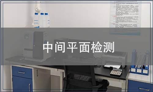 中間平面檢測