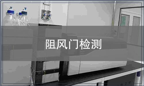 阻風(fēng)門檢測(cè)