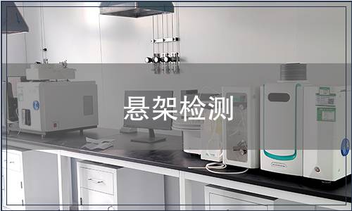 懸架檢測