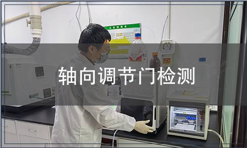 軸向調(diào)節(jié)門檢測