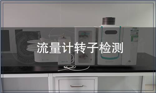 流量計(jì)轉(zhuǎn)子檢測(cè)