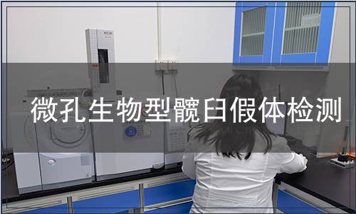 微孔生物型髖臼假體檢測