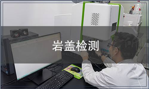 巖蓋檢測