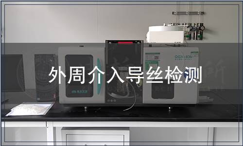 外周介入導絲檢測