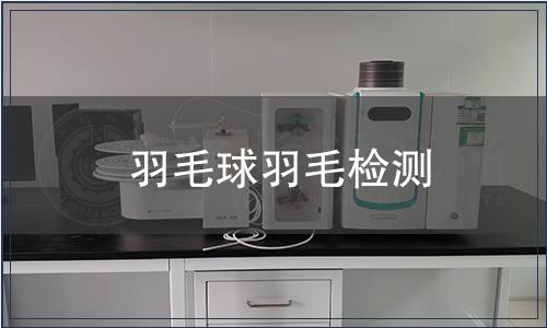 羽毛球羽毛檢測