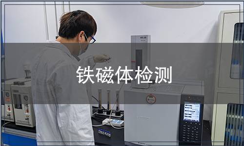 鐵磁體檢測
