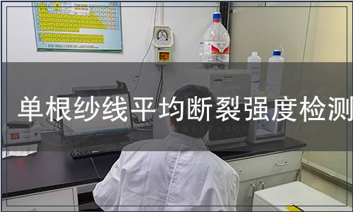 單根紗線平均斷裂強度檢測