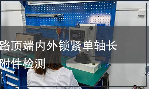 胸腰椎后路頂端內外鎖緊單軸長臂螺釘含附件檢測