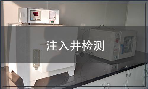 注入井檢測