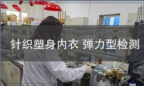 針織塑身內衣 彈力型檢測