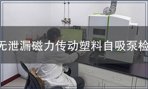 無泄漏磁力傳動塑料自吸泵檢測