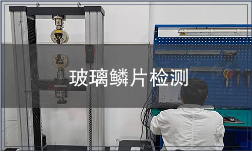 玻璃鱗片檢測
