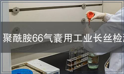 聚酰胺66氣囊用工業長絲檢測