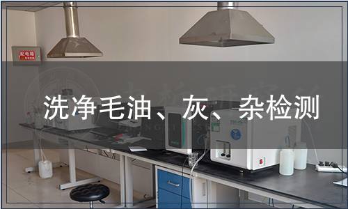 洗凈毛油、灰、雜檢測