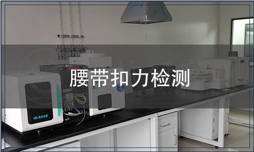 腰帶扣力檢測(cè)