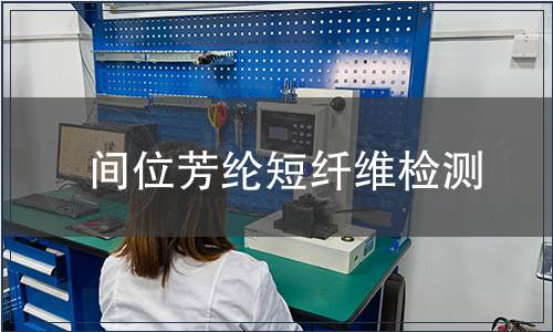 間位芳綸短纖維檢測(cè)