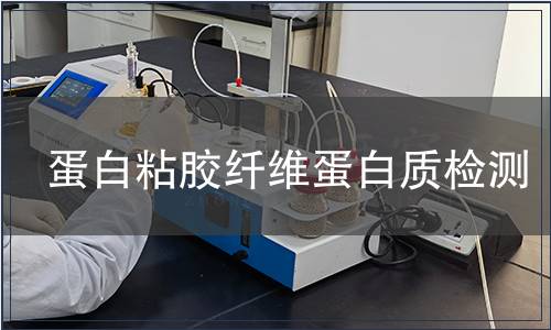 蛋白粘膠纖維蛋白質檢測