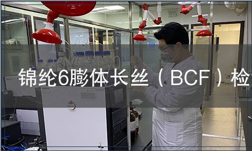 錦綸6膨體長絲（BCF）檢測