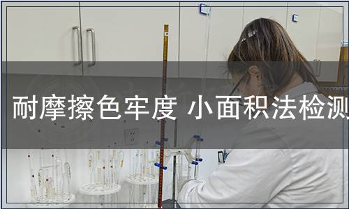 耐摩擦色牢度 小面積法檢測