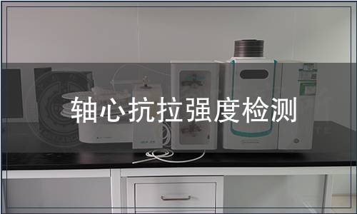 軸心抗拉強(qiáng)度檢測(cè)