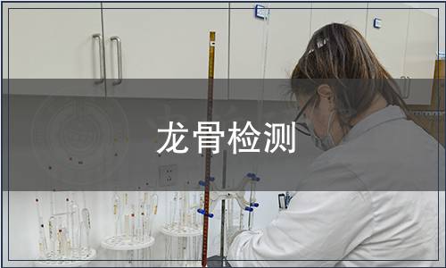 龍骨檢測(cè)
